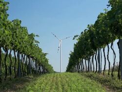 alternative energy Stock Footage