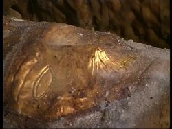 PAKISTAN: 2,600 YEAR OLD MUMMY FOUND (V) News Clip