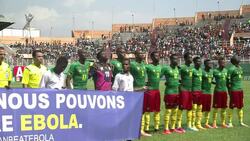 CLEAN : Ivory Coast qualifies for the 2015 Africa Cup of Nations News Clip