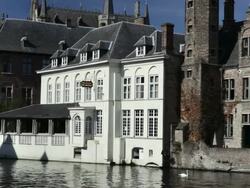 MS Shot of swan swims in a canal / Bruges, Flanders, Belgium Stock Footage