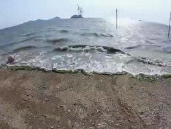 Shot of sea lettuce coming from beach Stock Footage
