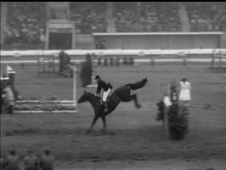 HORSE SHOW HIGHLIGHTS News Clip