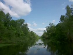 MS POV Shot of Atchafalaya Basin swamp / Atchafalaya Basin, Louisiana, United States Stock Footage