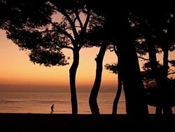 MS Man running on beach at sunrise / Mallorca, Balearic Islands, Spain Stock Footage