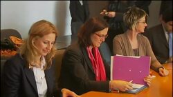 Visa requirement for Bosnians, Albanians travelling within EU is scrapped News Clip