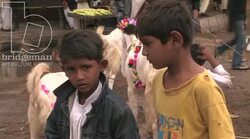 Eid Preparations in Karachi 1 Stock Footage