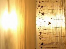 Young mangroves with sunset background (Vertical). Stock Footage