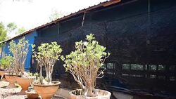 Workhouses Silk Stock Footage