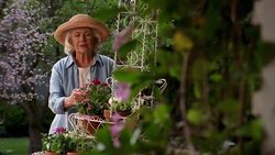 A senior woman rubs her arthritic hands while gardening. Stock Footage