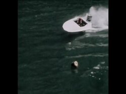 SYND 14-8-73 CHICAGO POWERBOAT RACE News Clip