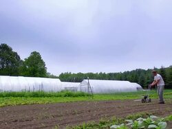 WS SLO MO TS View of Farmer planting seeds at organic farm, hoop/green houses in back side / Chatham, Michigan, United States Stock Footage