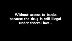 Cash Dash: Nerve-Rattling Trip to Pay Pot Taxes News Clip