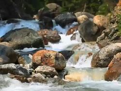Rushing mountain stream Stock Footage
