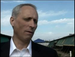 Cloned mules race naturally bred mules News Clip