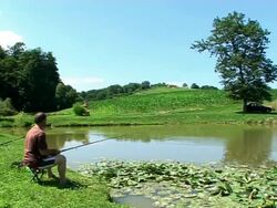 Fishing Stock Footage