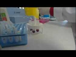 Aids Testing Laboratory Shots                  News Clip