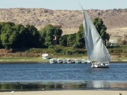 MS PAN View of felucca moving away behind sand bank and palms / Aswan, Egypt Stock Footage