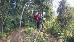 Zip line Adventure Stock Footage