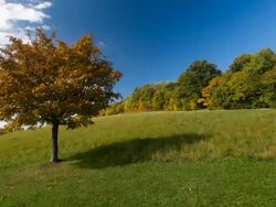 Landscape in autumn - Time Lapse Stock Footage