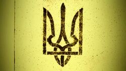 Ukraine coat of arms Stock Footage