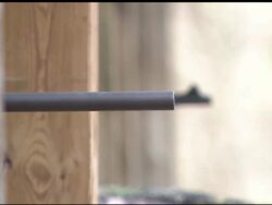 Shooters on gun range in target practice session News Clip