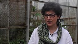 CLEAN : Nairobi ethical fashion initiative takes people out of poverty News Clip