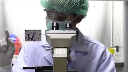 scientist testing in laboratory. HD video Stock Footage