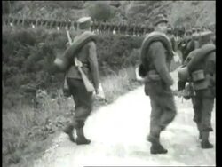 Army, Invasion, Fashion News Clip