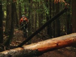  People are mountain biking in the woods Stock Footage