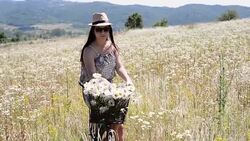 Flowers in bike Stock Footage