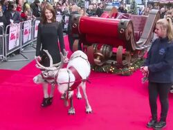 Jim Broadbent, Warwick Davis, Rafe Spall, Kit Connor & Jodie Whittaker at Get Santa World Premiere on 30th November 2014 in London, England. Stock Footage