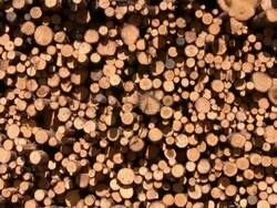 Timber Stack Stock Footage