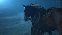 SLO MO Rancher leading his horse to stables at night Stock Footage