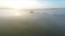 Misty forest landscape, Mpumalanga, South Africa Stock Footage