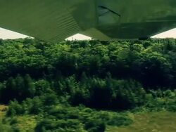 HD: Plane Landing Stock Footage