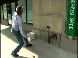 Rare video shows man saving ducklings falling from building News Clip
