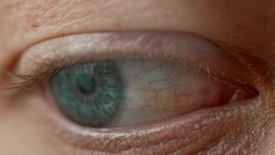 ECU Blue eye looking around Stock Footage