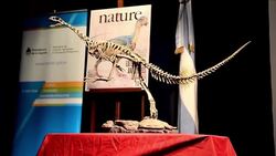 VOICED : Un curioso dinosaurio chileno News Clip