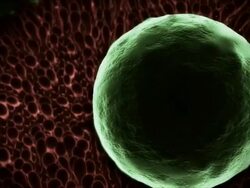 Extreme Close Up push-out tilt-down - Lung fluke eggs attach to biological tissue in a computer-generated animation. Stock Footage