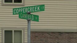 It's a cold, blustery Monday in Ferguson, Missouri as people wait to hear whether a grand jury has decided to indict Darren Wilson, the police officer who shot and killed 18-year-old Michael Brown. (Nov. 24) News Clip