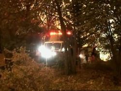 Latest day and night pictures of forest fires News Clip