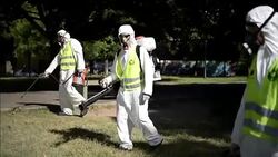 VOICED : OMS: Virus zika se propaga de forma explosiva News Clip