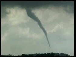 MWA Thin swirling tornado moving across horizon, grey sky and white cloud, silhouetted bush in foreground, USA Stock Footage