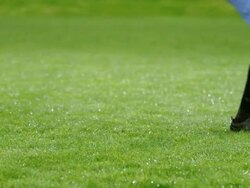 MS TU PAN professional soccer players celebrating on field in rain storm after scoring goal during match Stock Footage