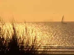 Sunset over the sea Stock Footage