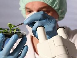 Genetic Research - Biology Lab Stock Footage