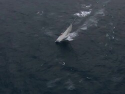 Brokenwood, the 54ft yacht sailed by Sailors with Disabilities in the 2009 Sydney to Hobart Yacht Race. Skippered by David Pescud, Australia Stock Footage