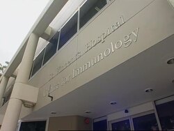 Australian scientists develop a test for screening bird flu News Clip