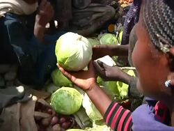 Ethiopian Woman selling cabbages at market Stock Footage