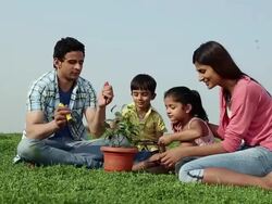 Family planting a plant, Delhi, India Stock Footage